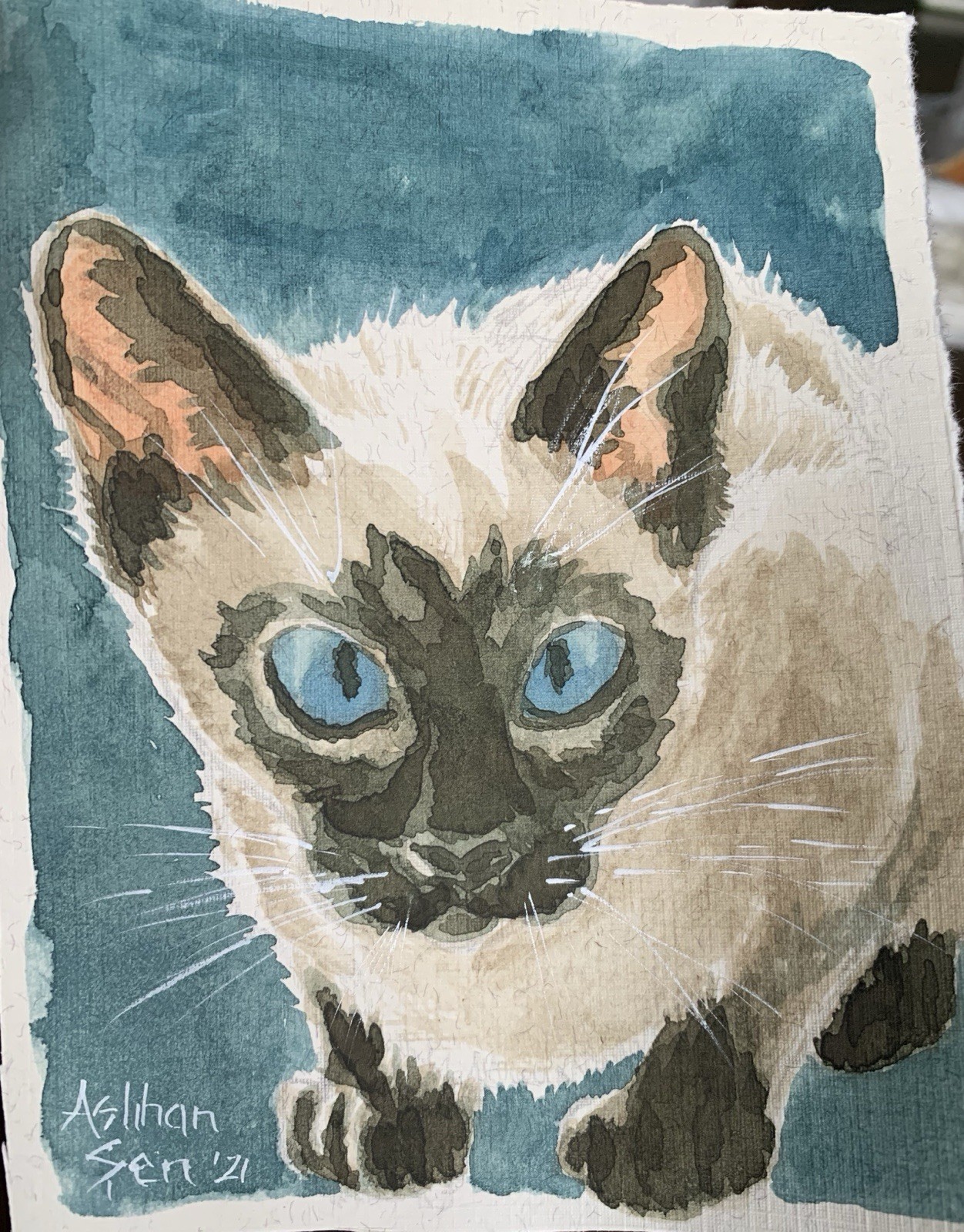 Original watercolor painting Siamese Kitten Cat made to order artwork wall art