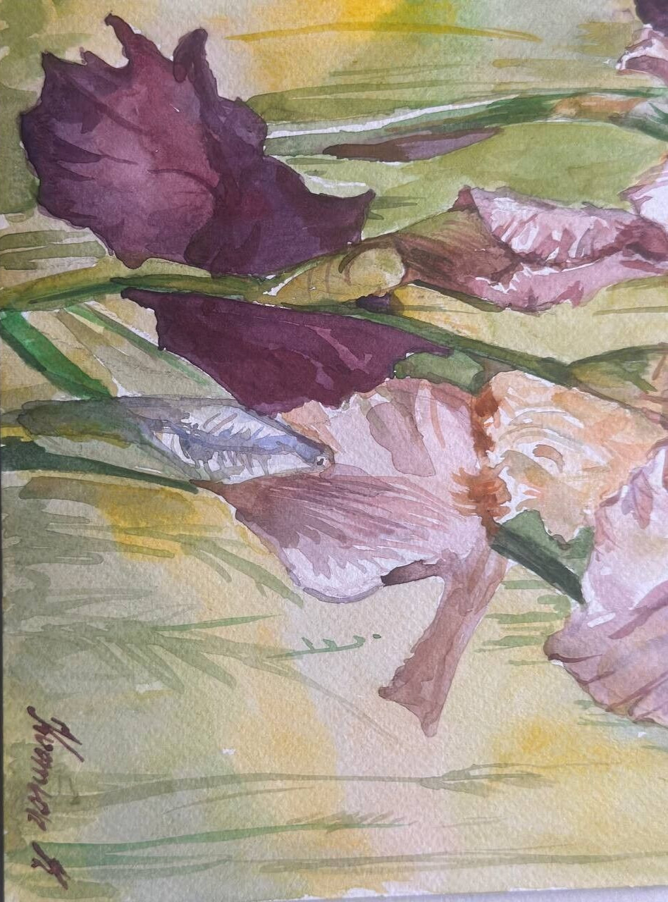 Painting by the Ukrainian artist «Irises Flowers» watercolor