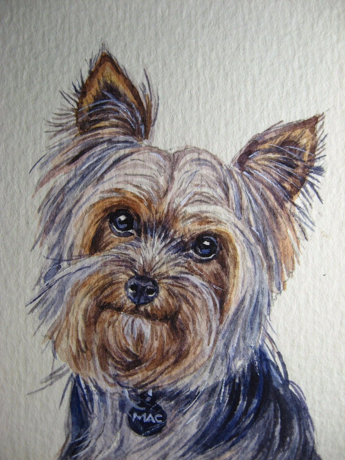Watercolor Painting Dog York Terrier Breed Face Home Pet ACEO Art .