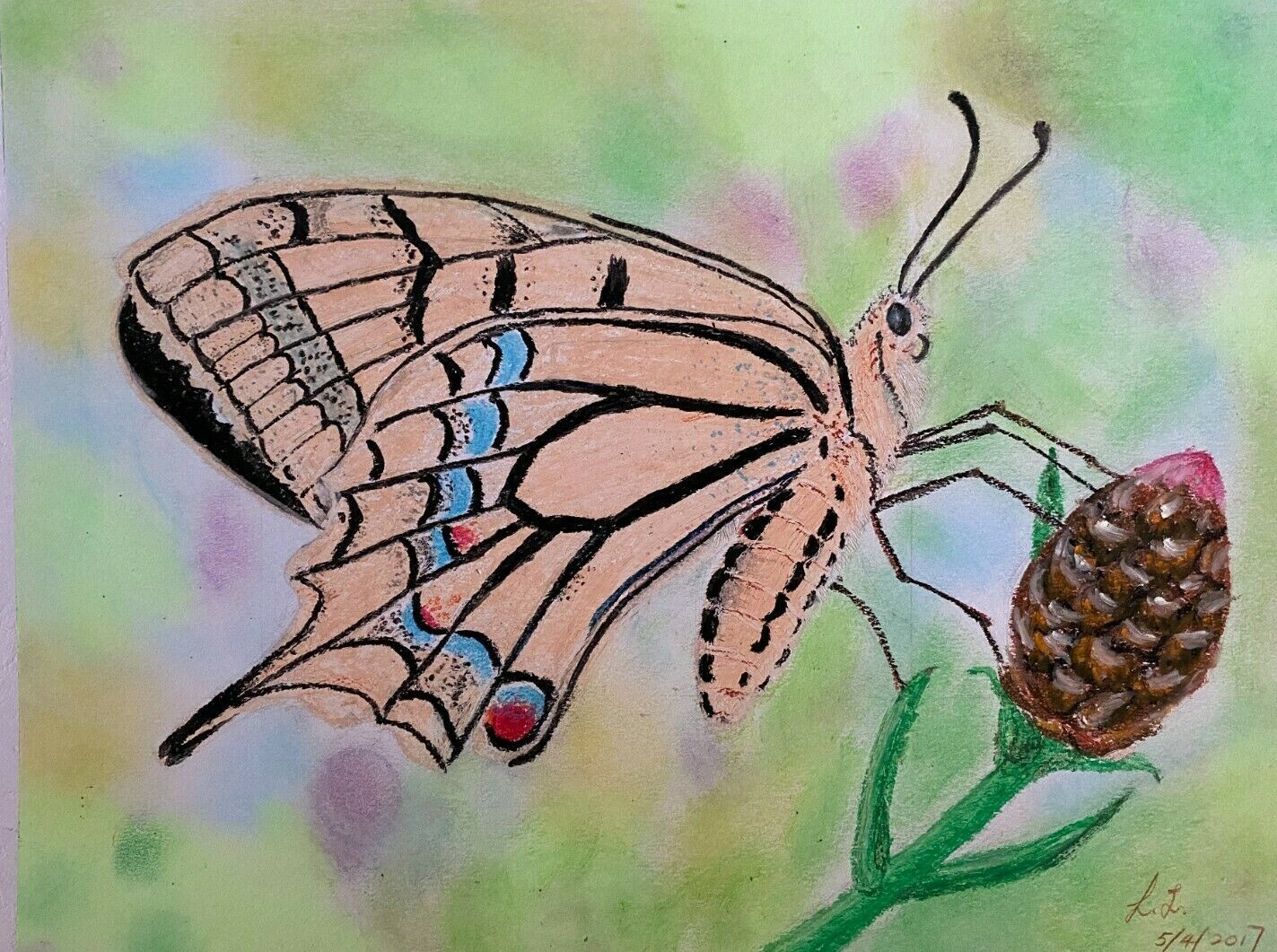 Hand Paint Oil Pastel Painting for Butterfly on Canson Paper 11×14″