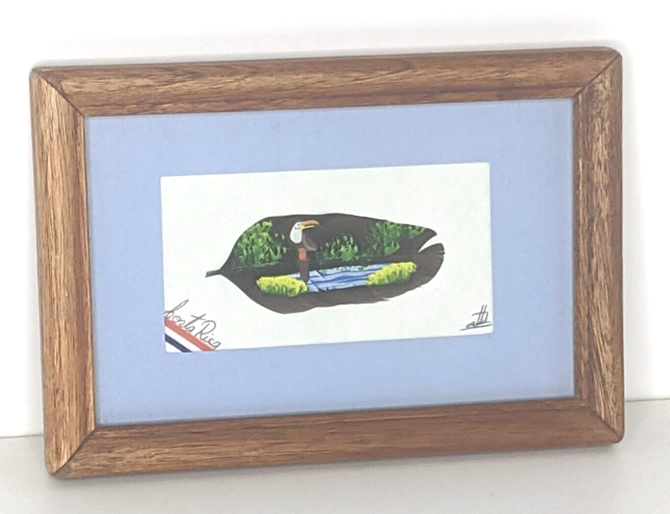 Feather Painting Framed Parrot McCaw Costa Rica Matted Glass 5×7″