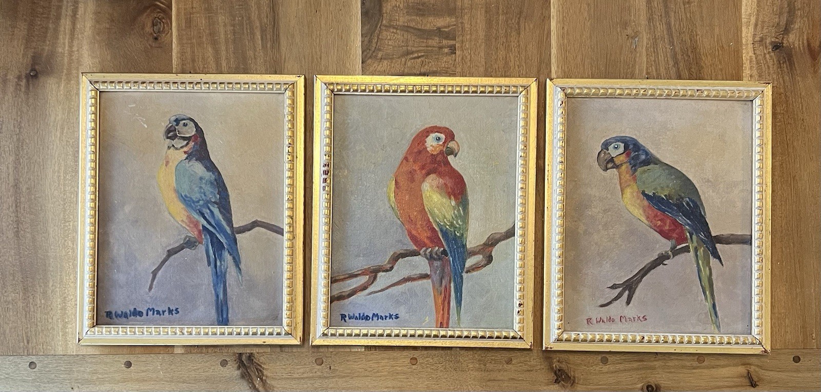 Stunning Trio of Original Mid-Century Tropical Bird Paintings R Waldo Marks