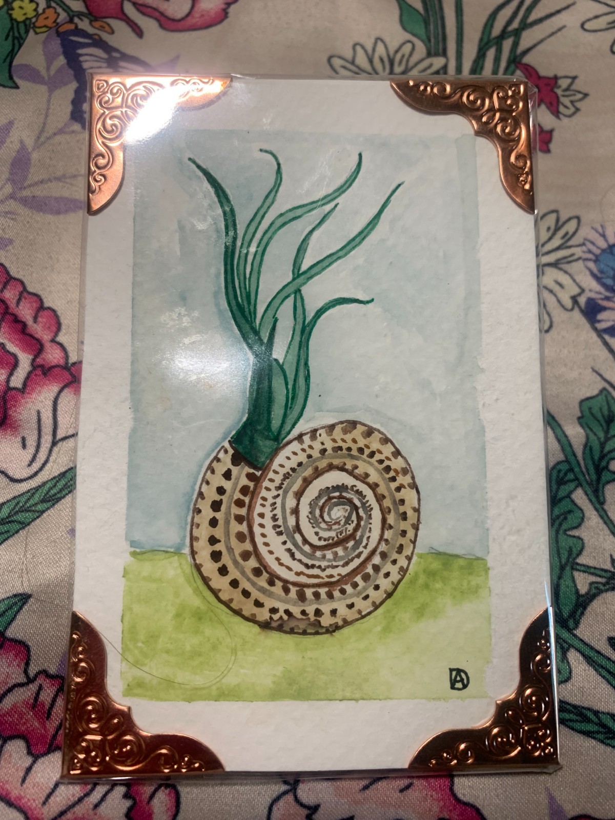 original aceos watercolor painting air plant and snail shell, 4 X 2.5 inches