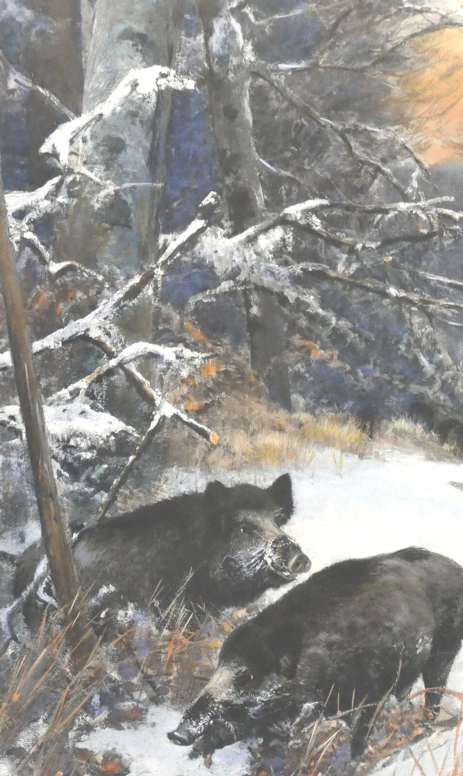 Christian Kröner Gouache – Paper «Wild Boar Rotto» 1893 Framed 53.5 x 37.5 cm