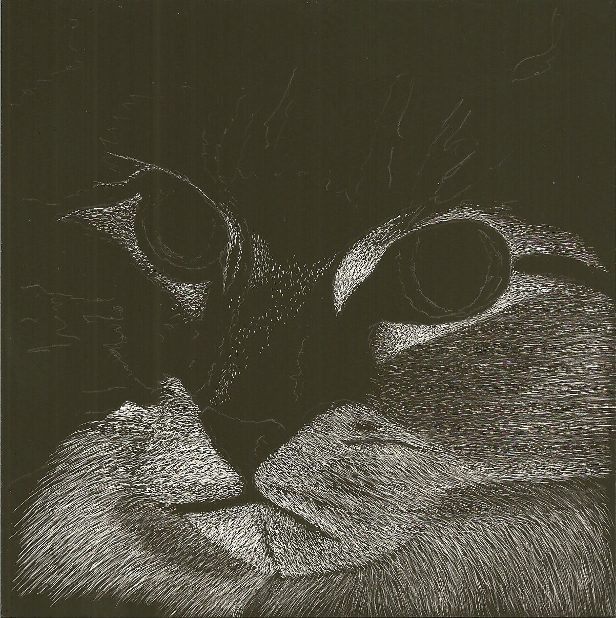Scratch Art Original Signed on Ampersand Pro Board 6″x6″ Coon Cat’s Face Closeup
