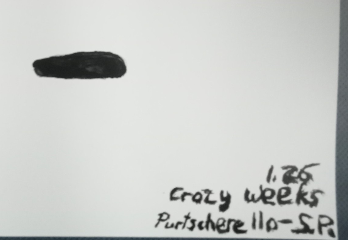 PURTSCHERELLO»S ABSTRACT-WEEKS–THE CRAZY SHOW -2026————-(1)—S.P.