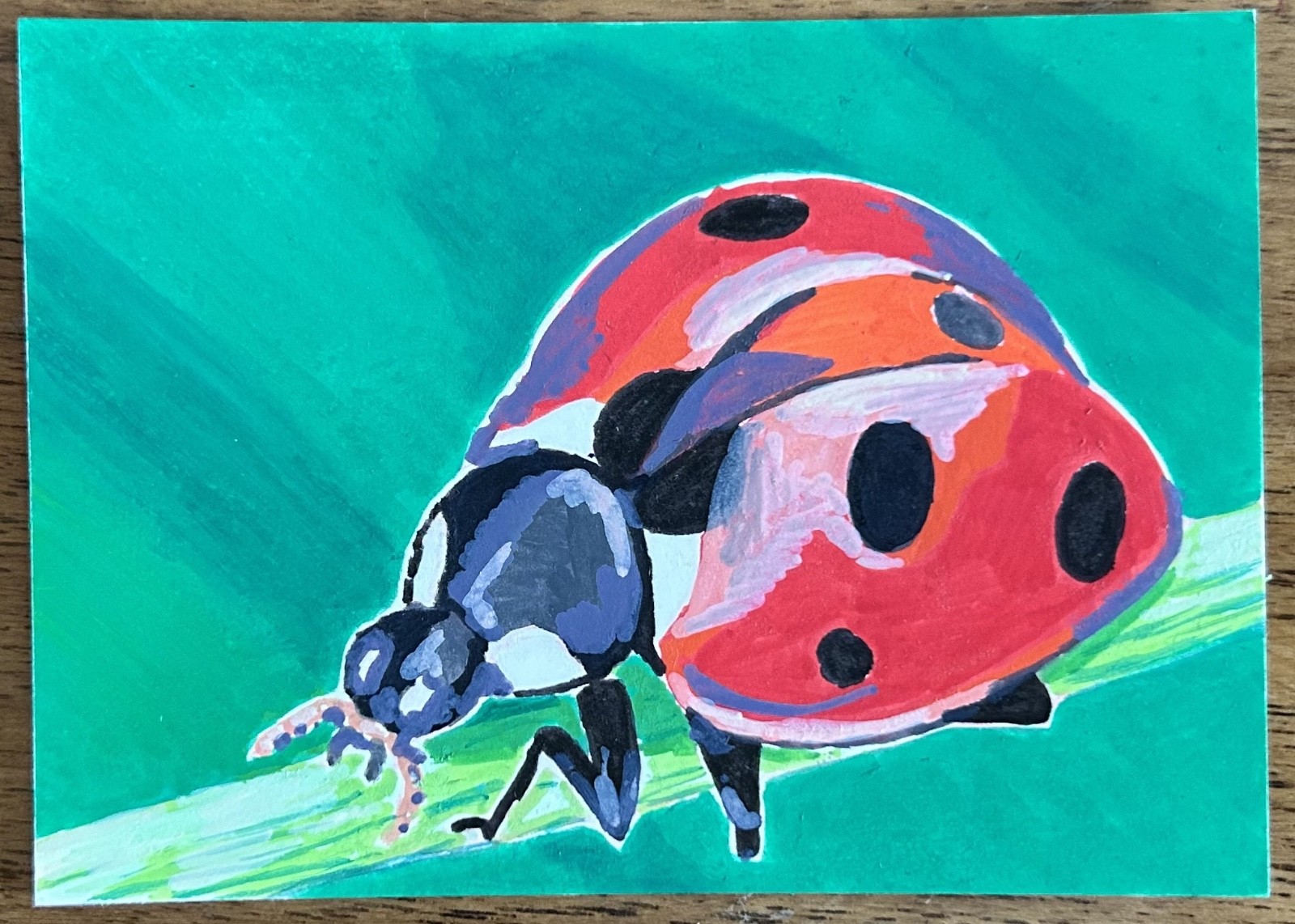 aceo original art by Emily Beck, Ladybug, Acrylic insect Painting, 2.5×3.5
