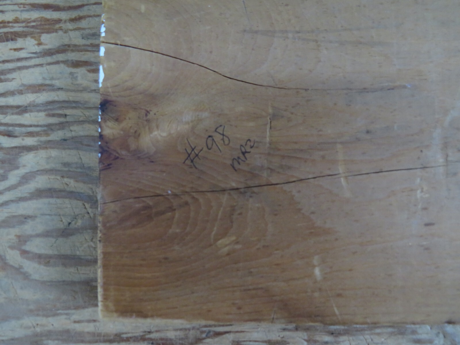 vtg Original Wood Burning painting Moose Lake/Forest – Leonard Rollins