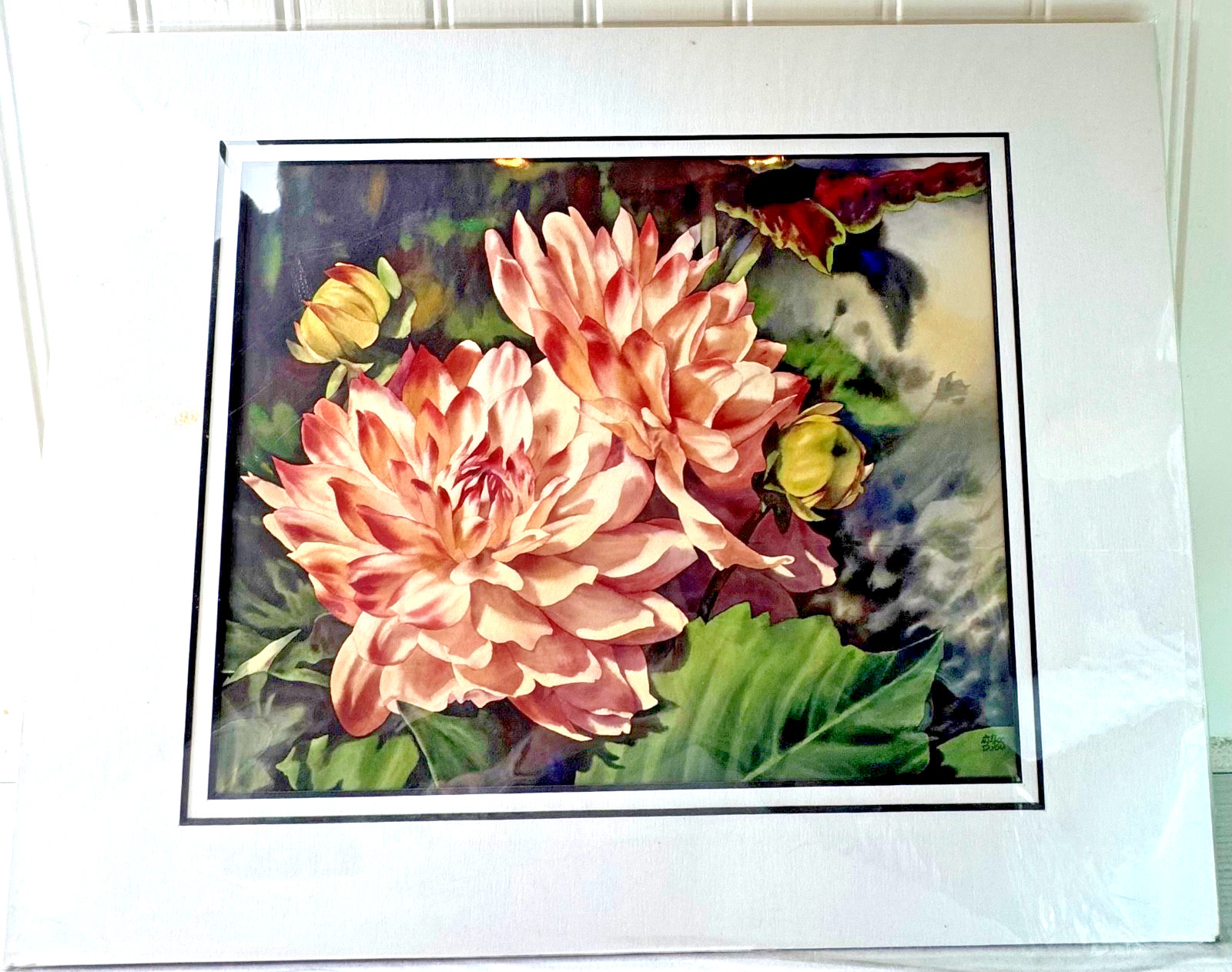 Matted 11″ X 14″ Water Color Floral Print Wall Art Diana Hsu Dahlia