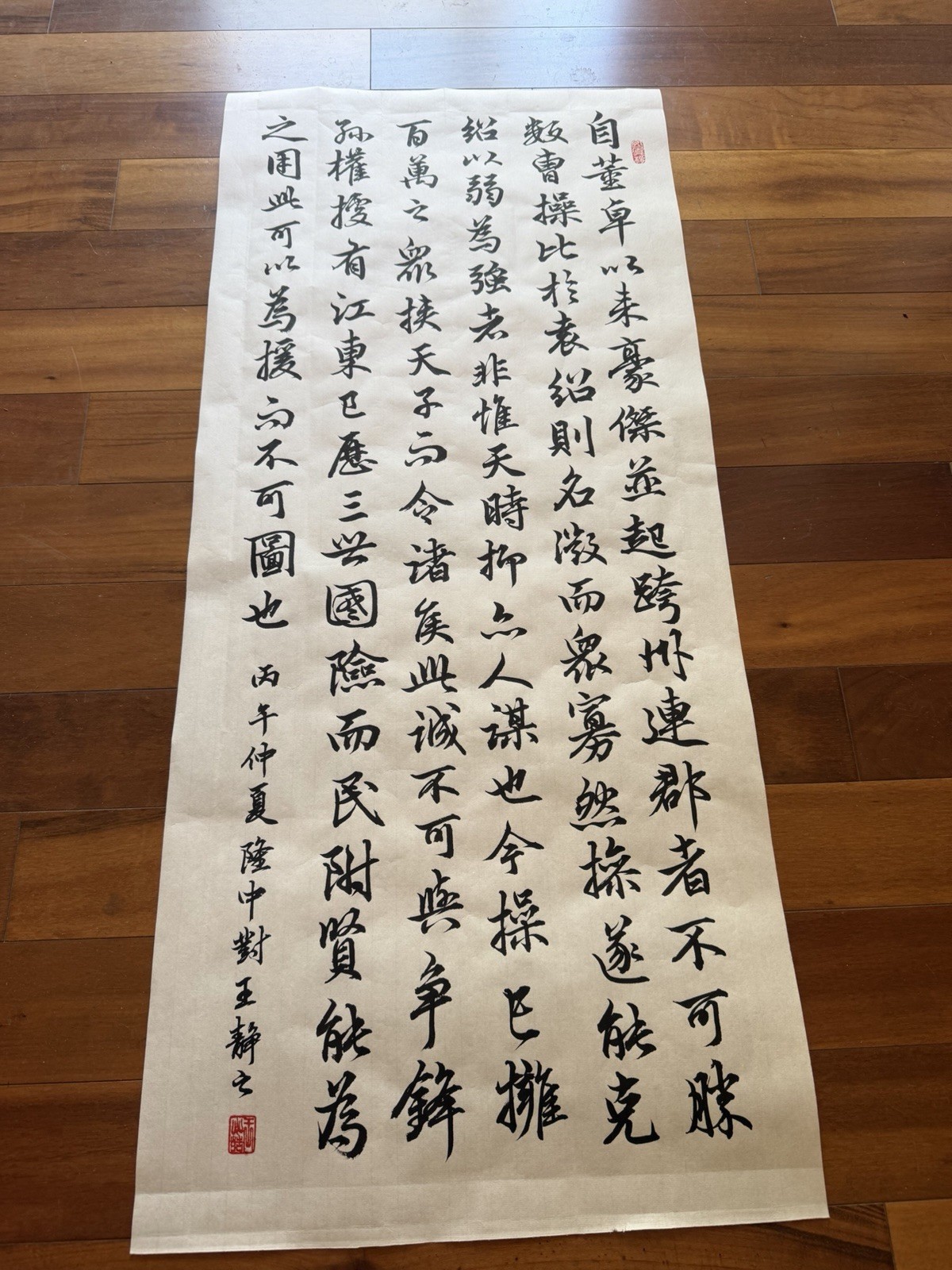 Unframed Chinese Calligraphy Freehand Longzhong Plan 隆中對2649