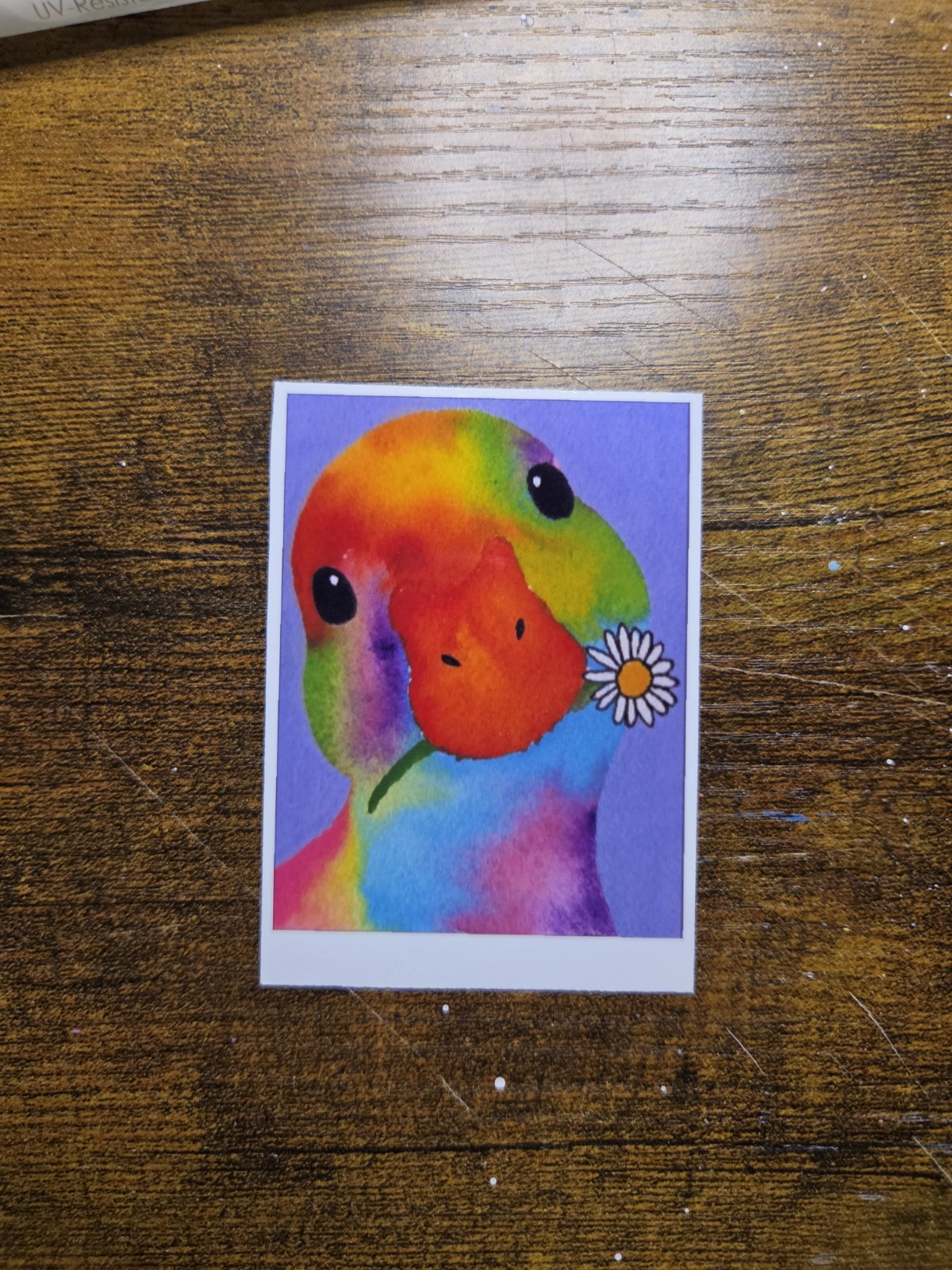 ACEO *Art Print Original Polaroid Rainbow Duck Watercolor Painting 2.5×3.5