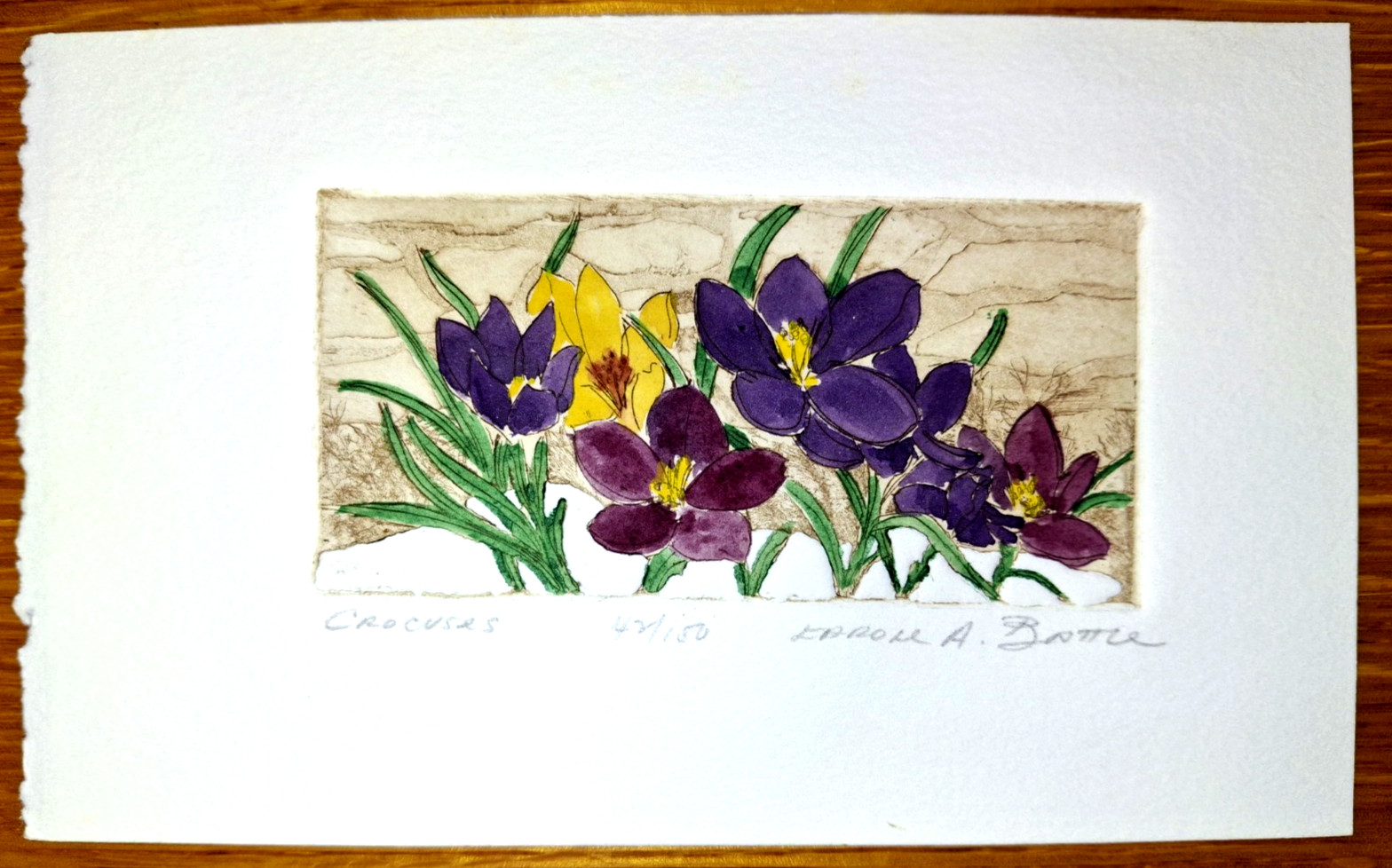 Original Etching Watercolor Painting of Crocus, Artist Signed no. 42/150