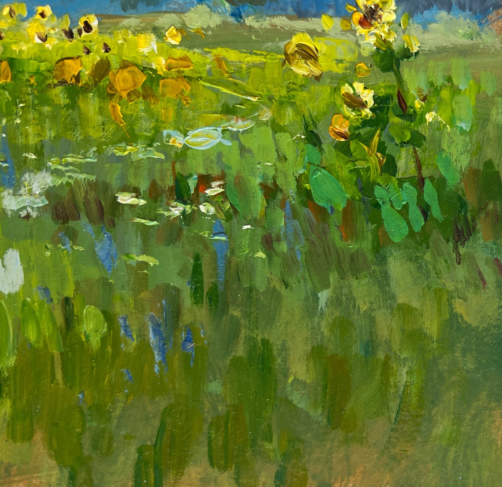 Oil Painting Sunflower Fields Y. Suprunchuk Unframed Original nAAA4439