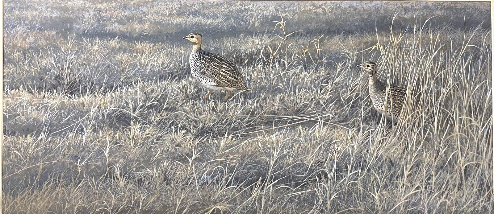 Original Bird Art Painting – Coqui Francolin by Robert Verity Clem, Signed, 1971