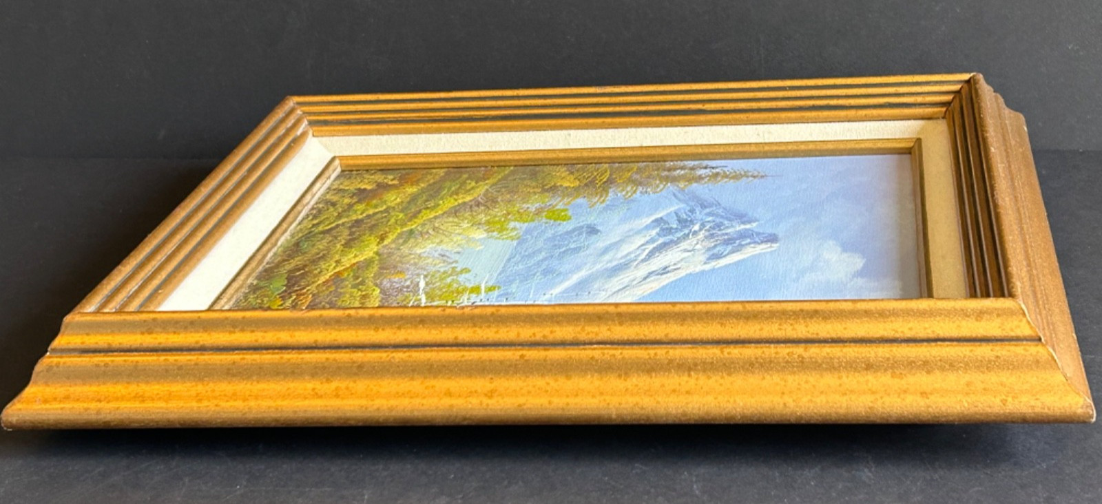 Artist Signed Framed Oil on Canvas Painting Of Mountains And Trees Landscape