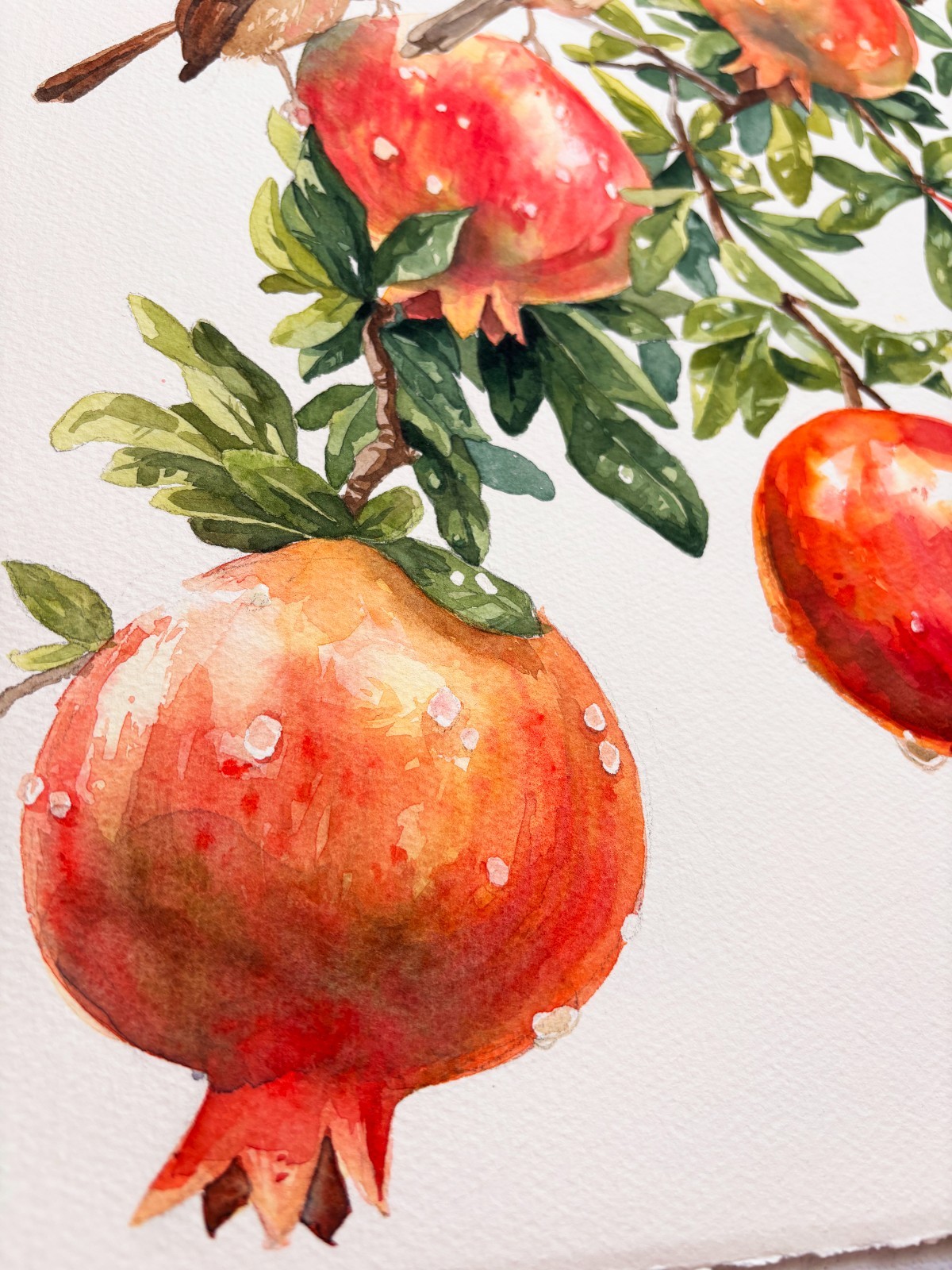 Original 11.7 x 16.5 inches Watercolor Painting «Two Birds in Pomegranate Tree»