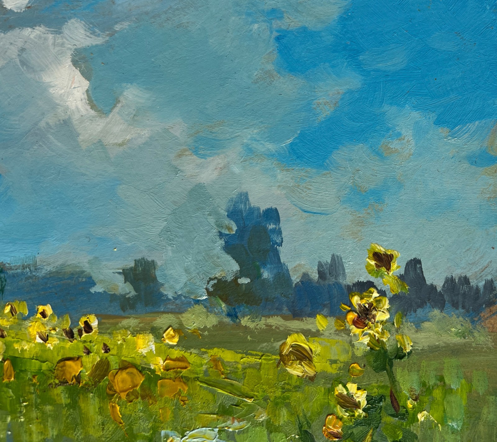 Oil Painting Sunflower Fields Y. Suprunchuk Unframed Original nAAA4439