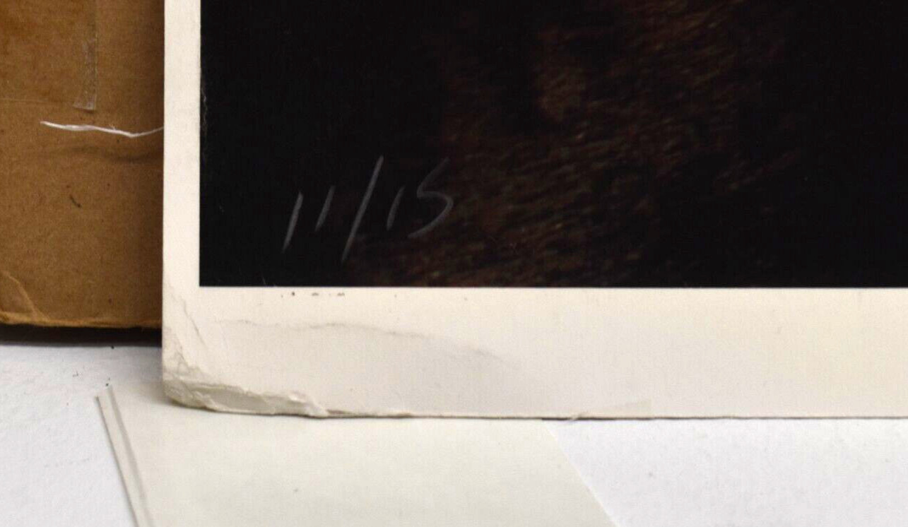 SIGNED Hilton Brothers «Valencia» Makos Solberg – Modern Fine Art Photograph