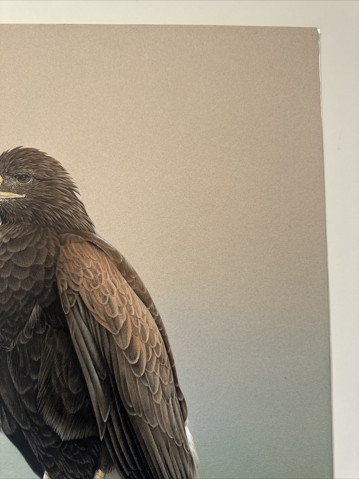 REALIST PAINTING EAGLE BIRD REALISM LARRY HUNT EXHIBITED NATURE WESTERN ARTIST