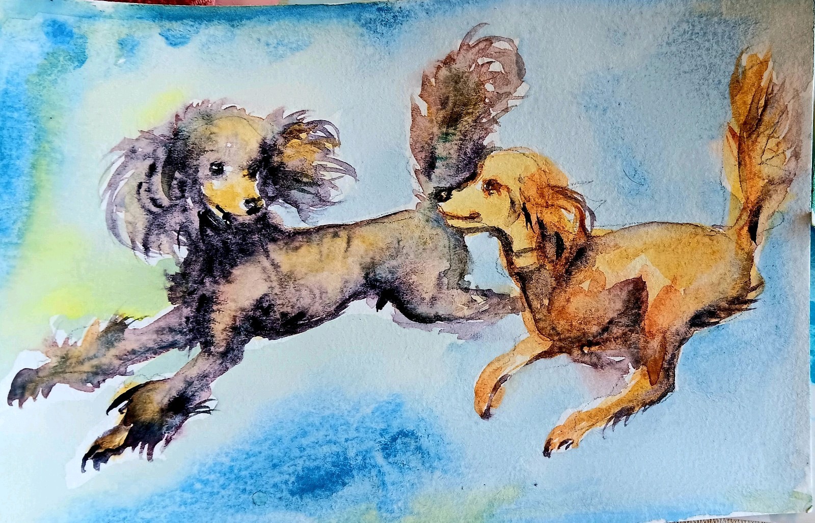 Original Watercolor poodles Playing dog art Signed Painting,dog lover gift 6×4″