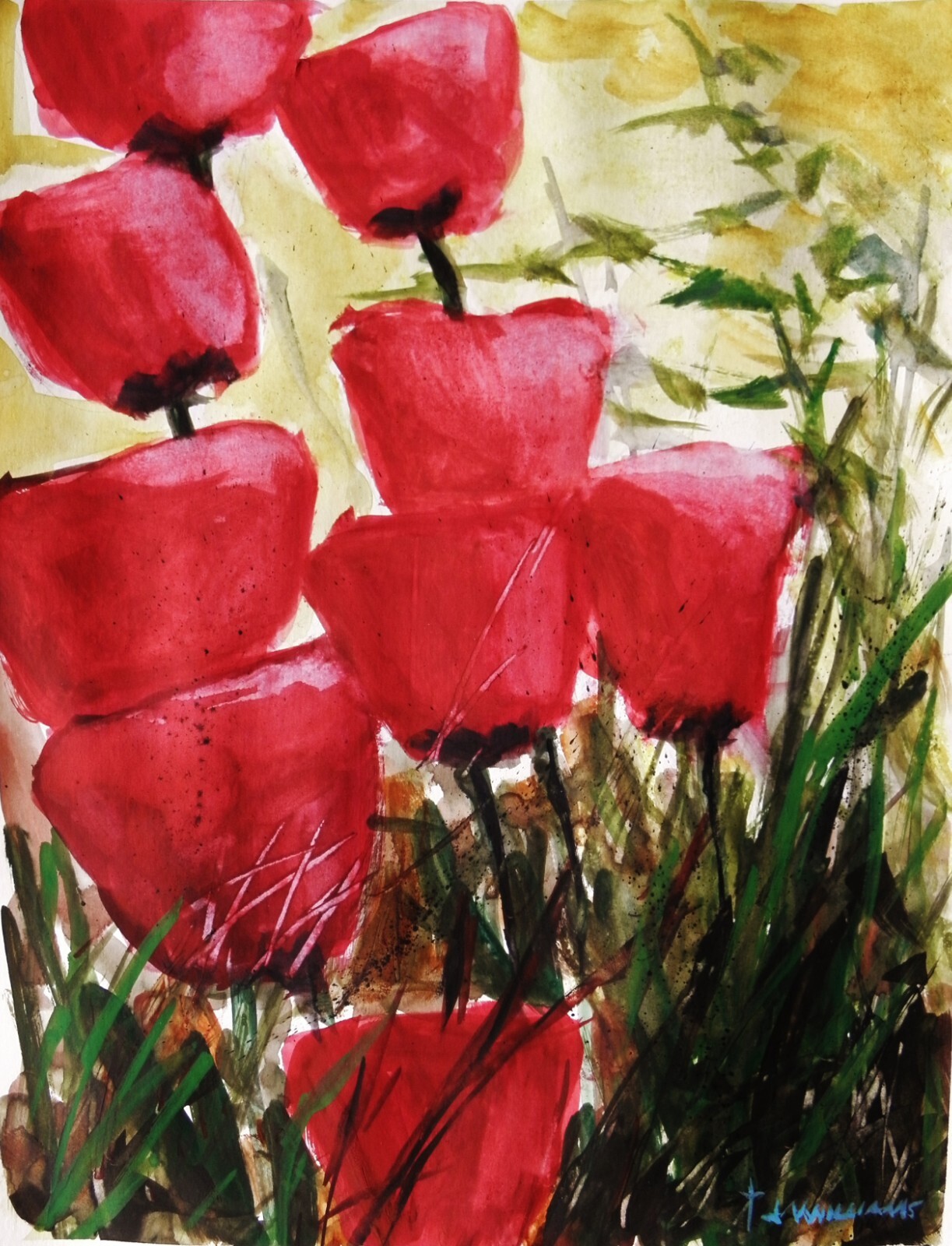 My Tulips
