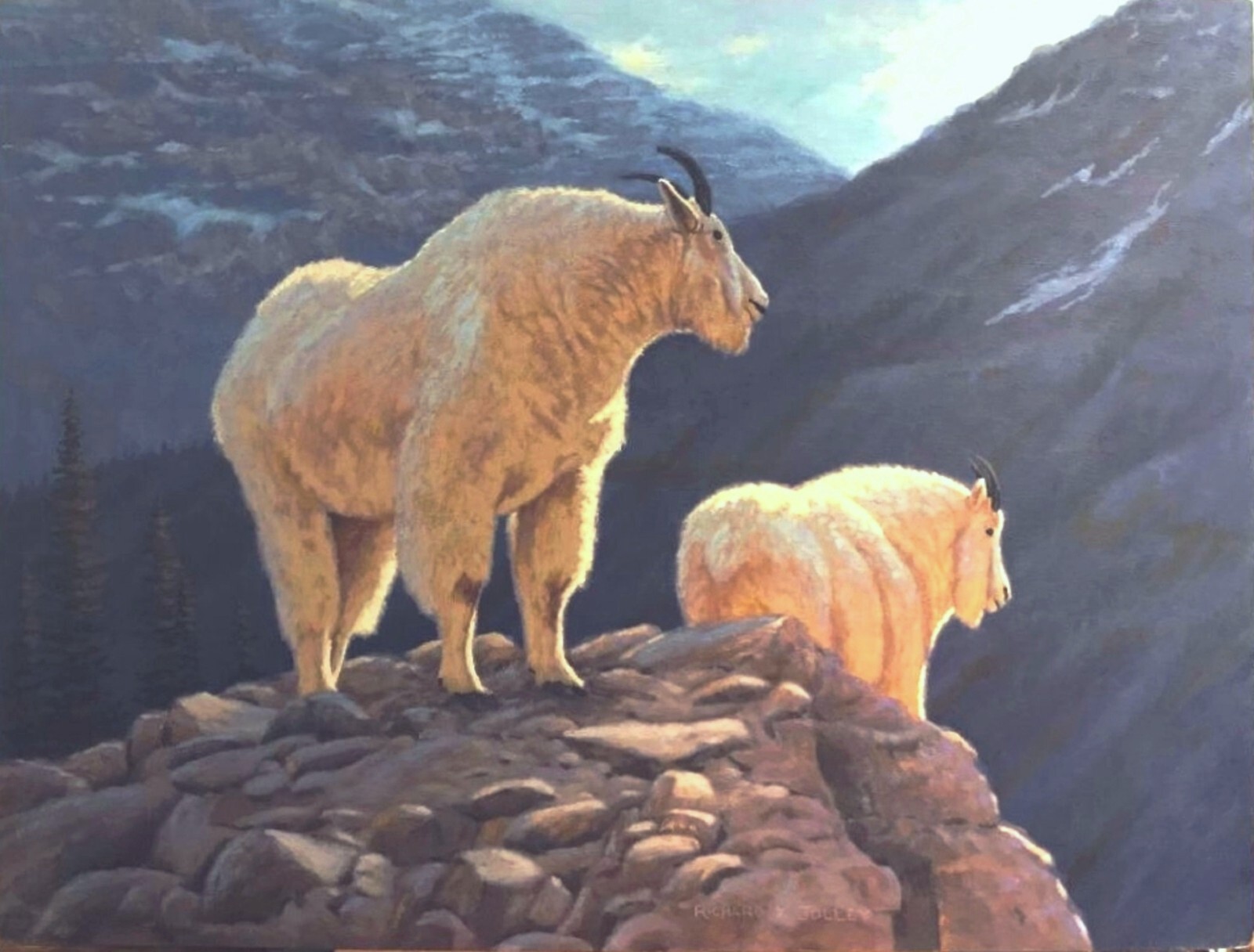 R.K. Jolley original impressionist oil painting mountain goats wildlife animals
