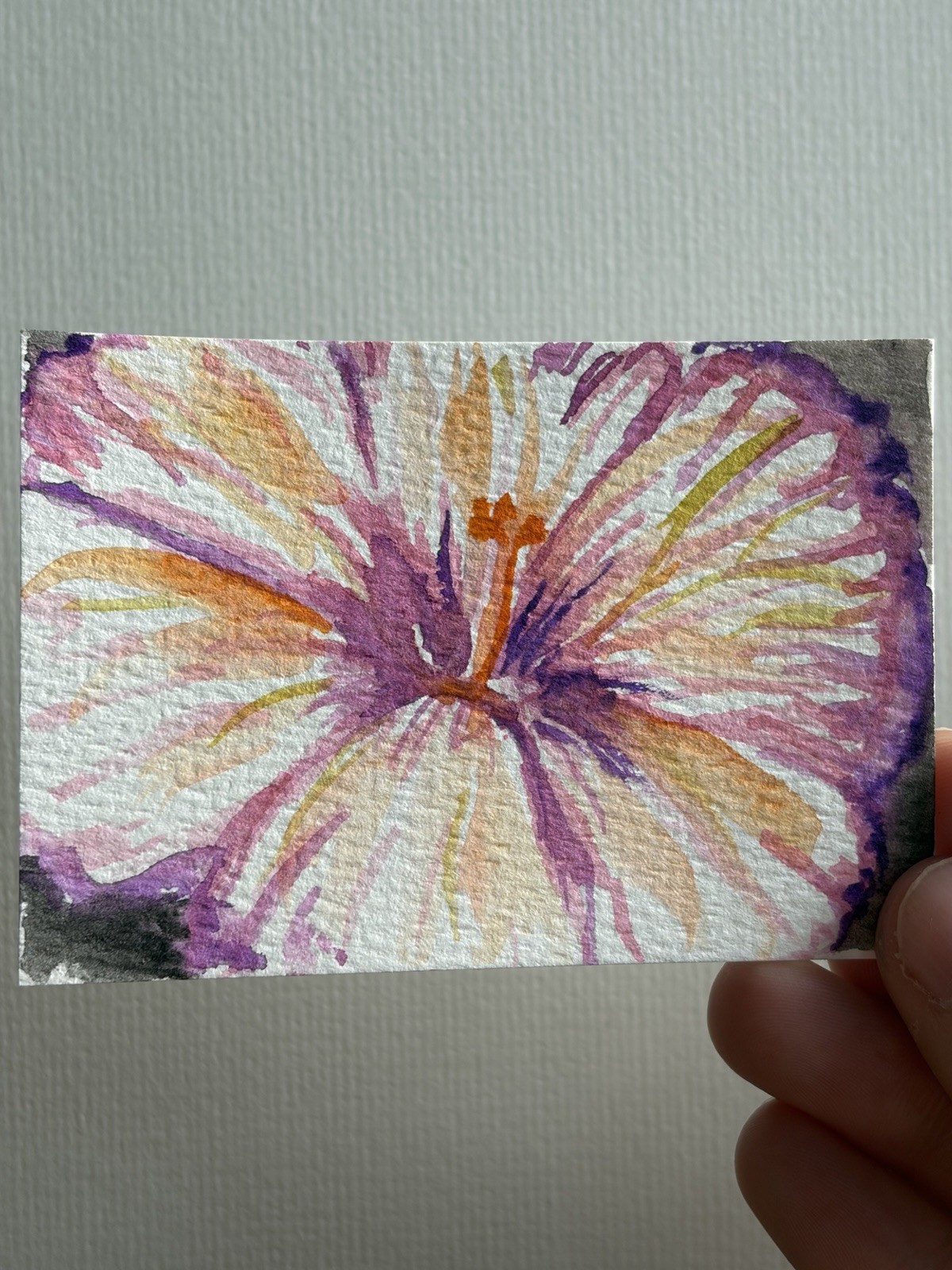 ACEO Original Watercolor Painting Flower Hibiscus Tropical By JMJager