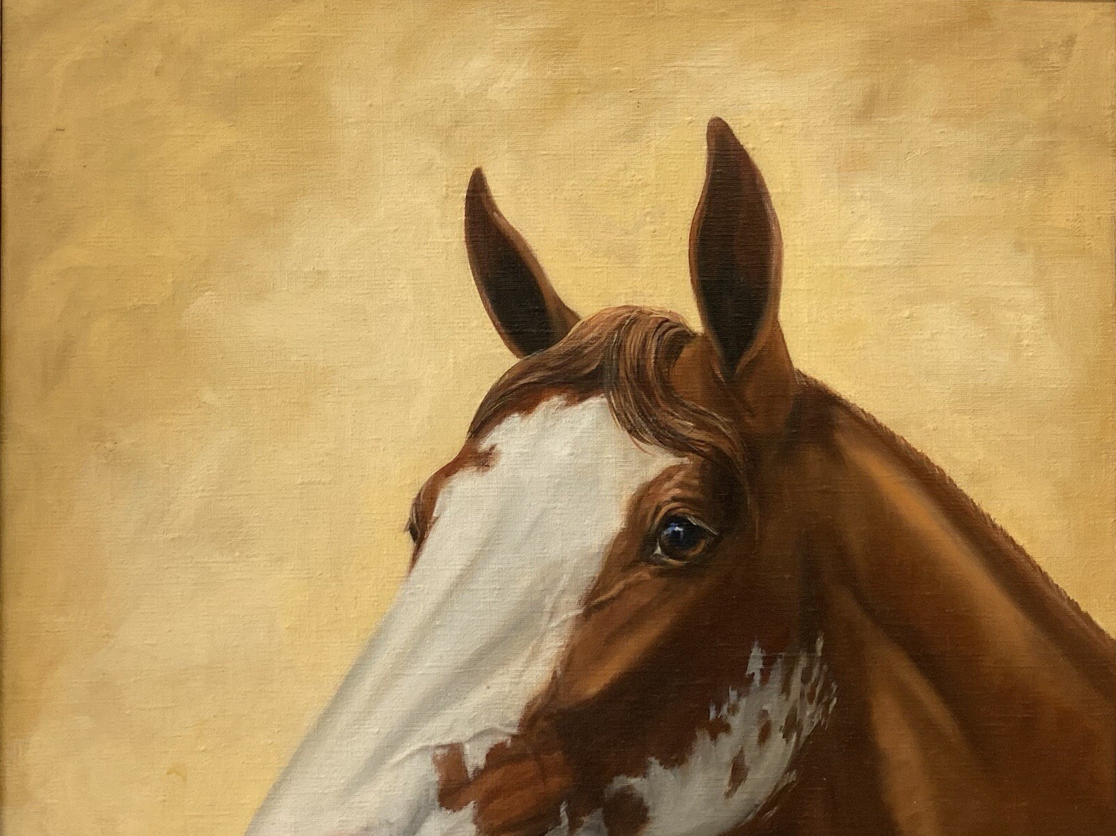 🔥 RARE Fine Vintage Old Western American Paint Horse Oil Painting BILOTTA 1960s