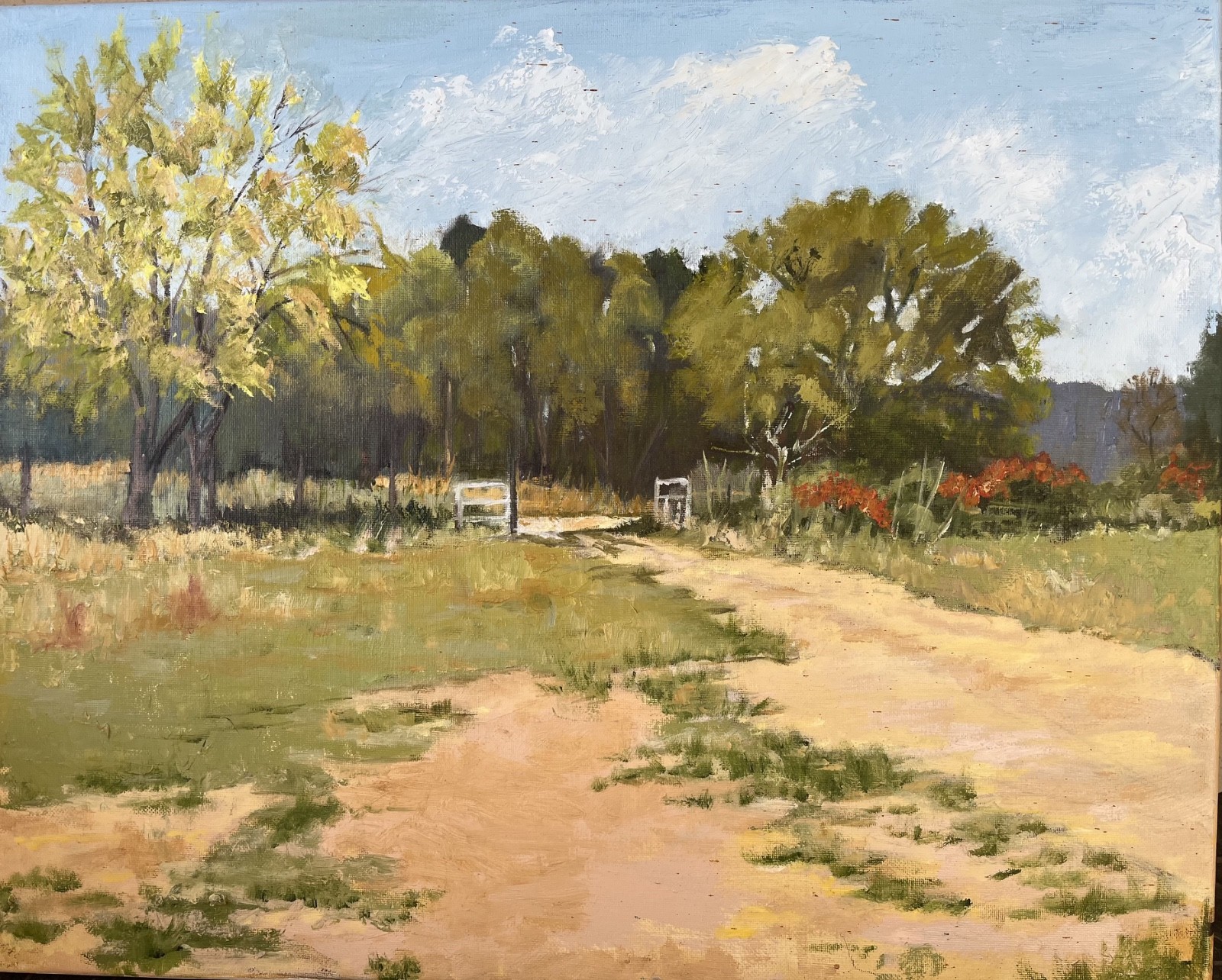 «My Daughter’s Texas Homestead» original oil painting 16X20 in oil on canvas new