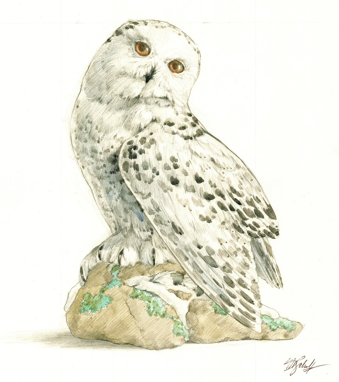 Maureen D Schultz (PA,20C) watercolor painting 154317
