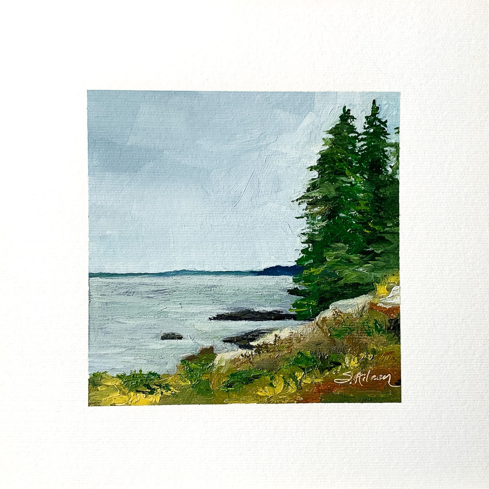 8×8 Maine Original Oil Painting Acadia Landscape New England Coastal Art Signed