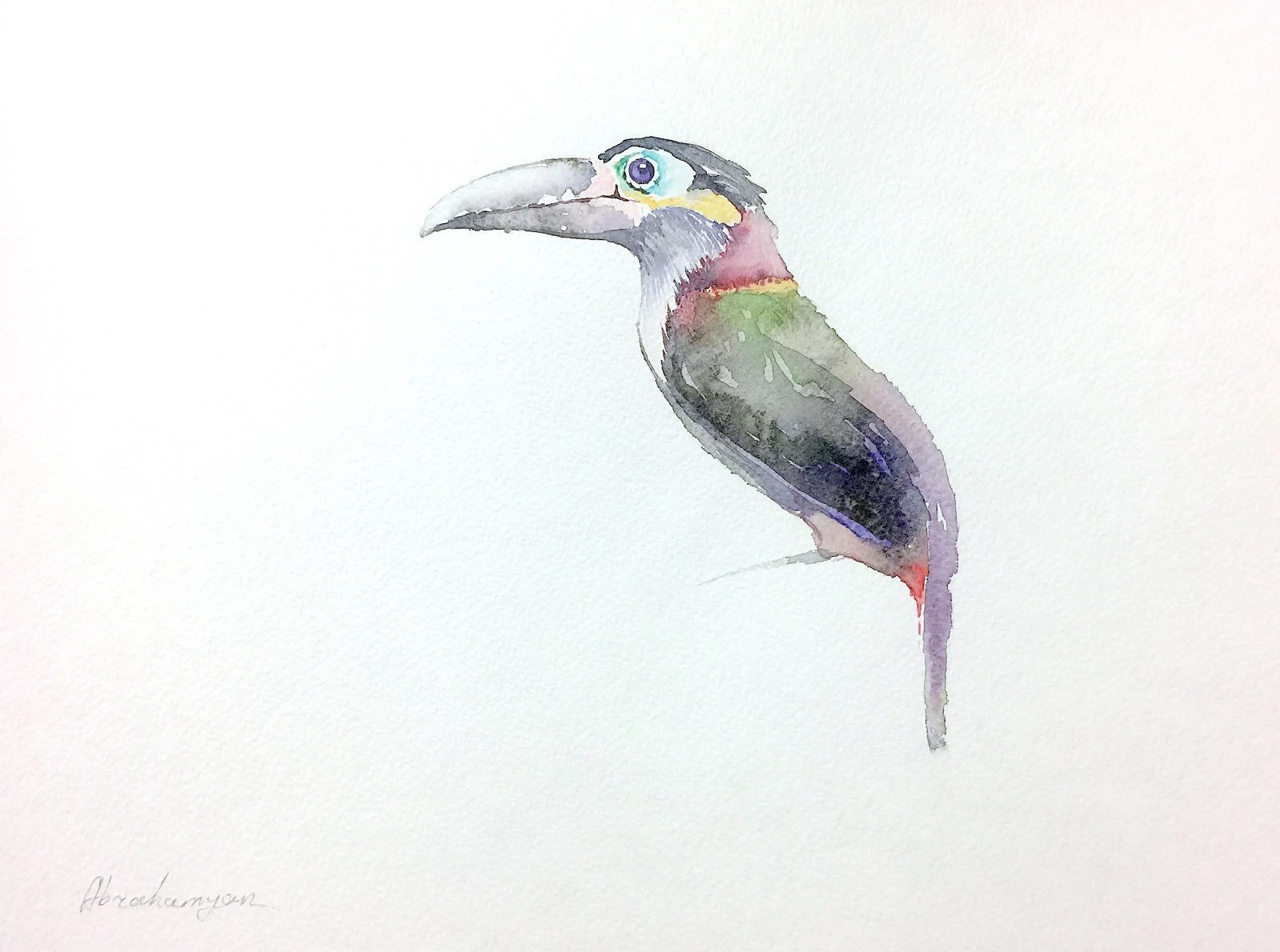Tucan, Birds, Watercolor artwork, Handmade, Original painting on paper