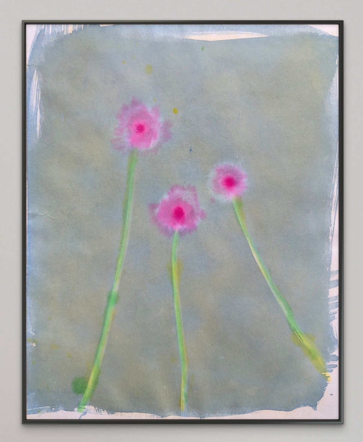 Original Art. Cyanotype and Watercolor on 11×14 Art Paper. ‘Pink Dandelions’