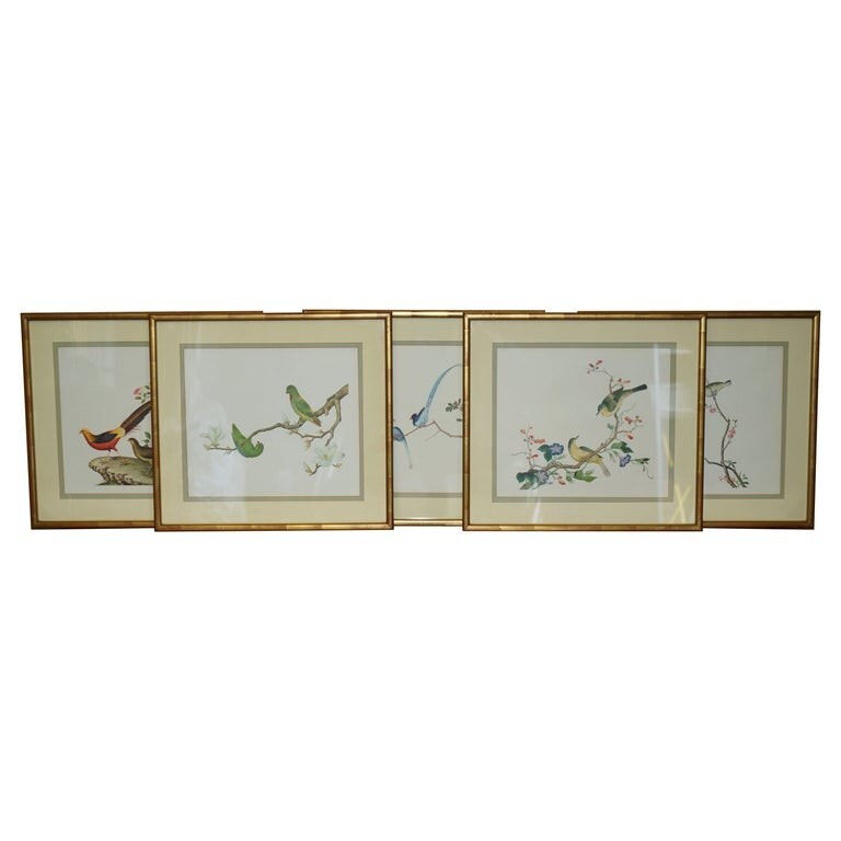 FIVE CHINESE CH’IEN LUNG PERIOD 1736-1796 WATERCOLOUR BIRD PIANTINGS FRAMED