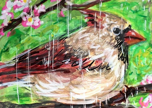 ORIGINAL ACEO BIRD Painting Female Northern CARDINAL Spring Nature Bird Rain ART