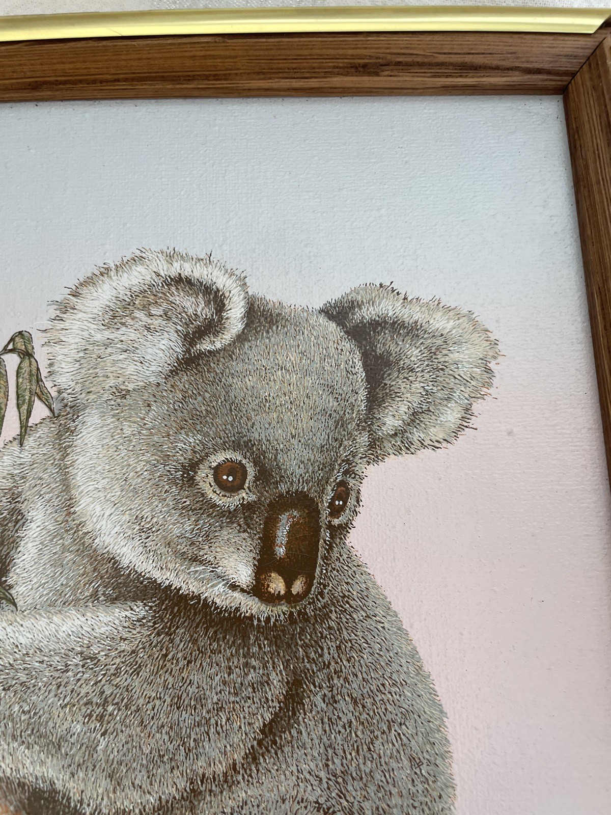Vintage 90’s Koala Bear In Tree Framed Signed C Carson Oil Painting 8×10” COA