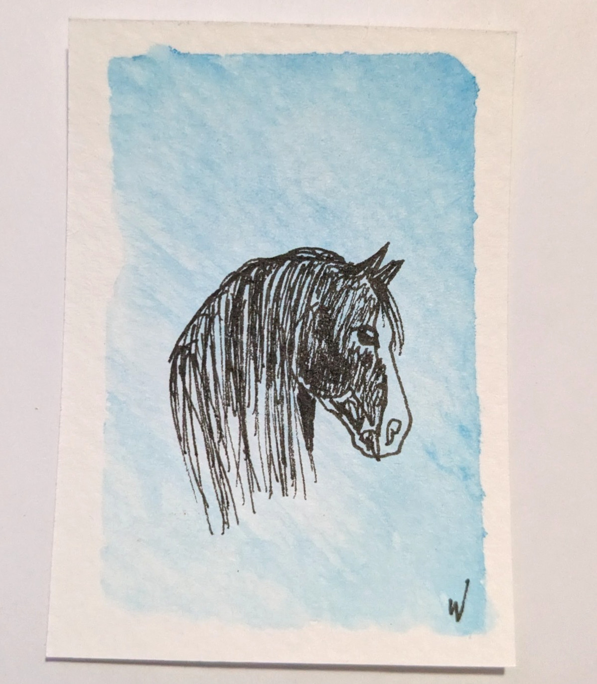 ACEO Original Watercolor Ink Drawing Horse Portrait Art 2.5×3.5 Drawing Wachtel