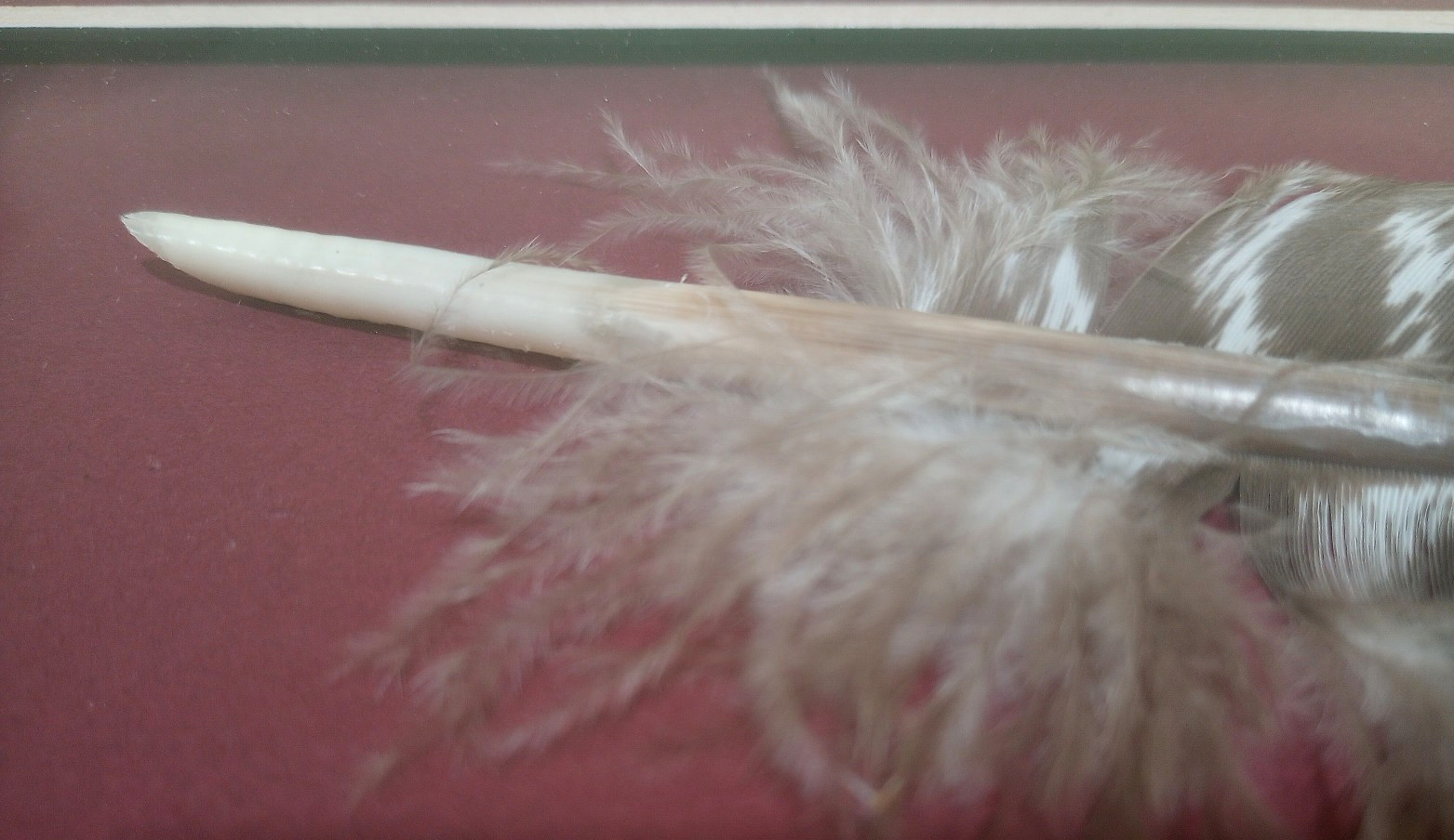 Beautiful Framed Hand-Painted Wild Turkey Feather Wildlife Art, One of a Kind