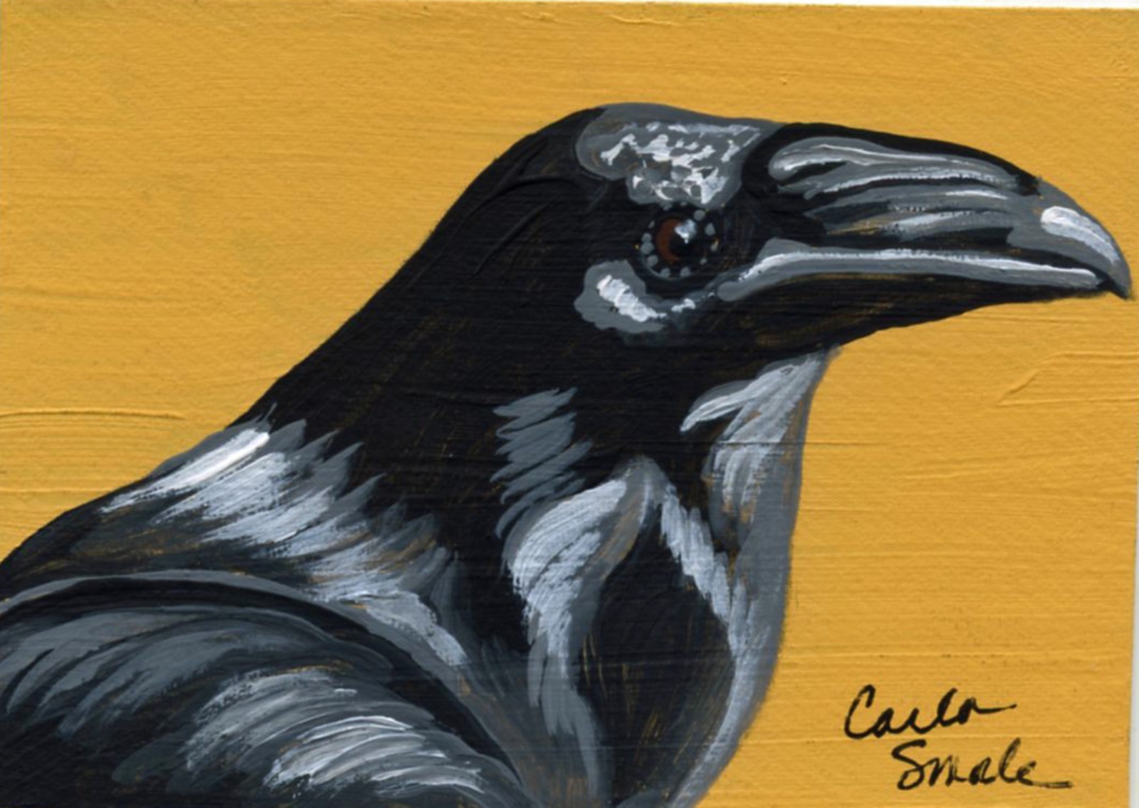 ACEO Original Painting Crow Raven Wildlife Bird Art -Carla Smale