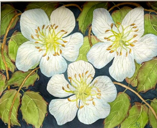 PAINTING WATERCOLOR 11X14 AND MAT 16X20 FLOWER WILD ROSE WHITE BLUE ORIGINAL ART