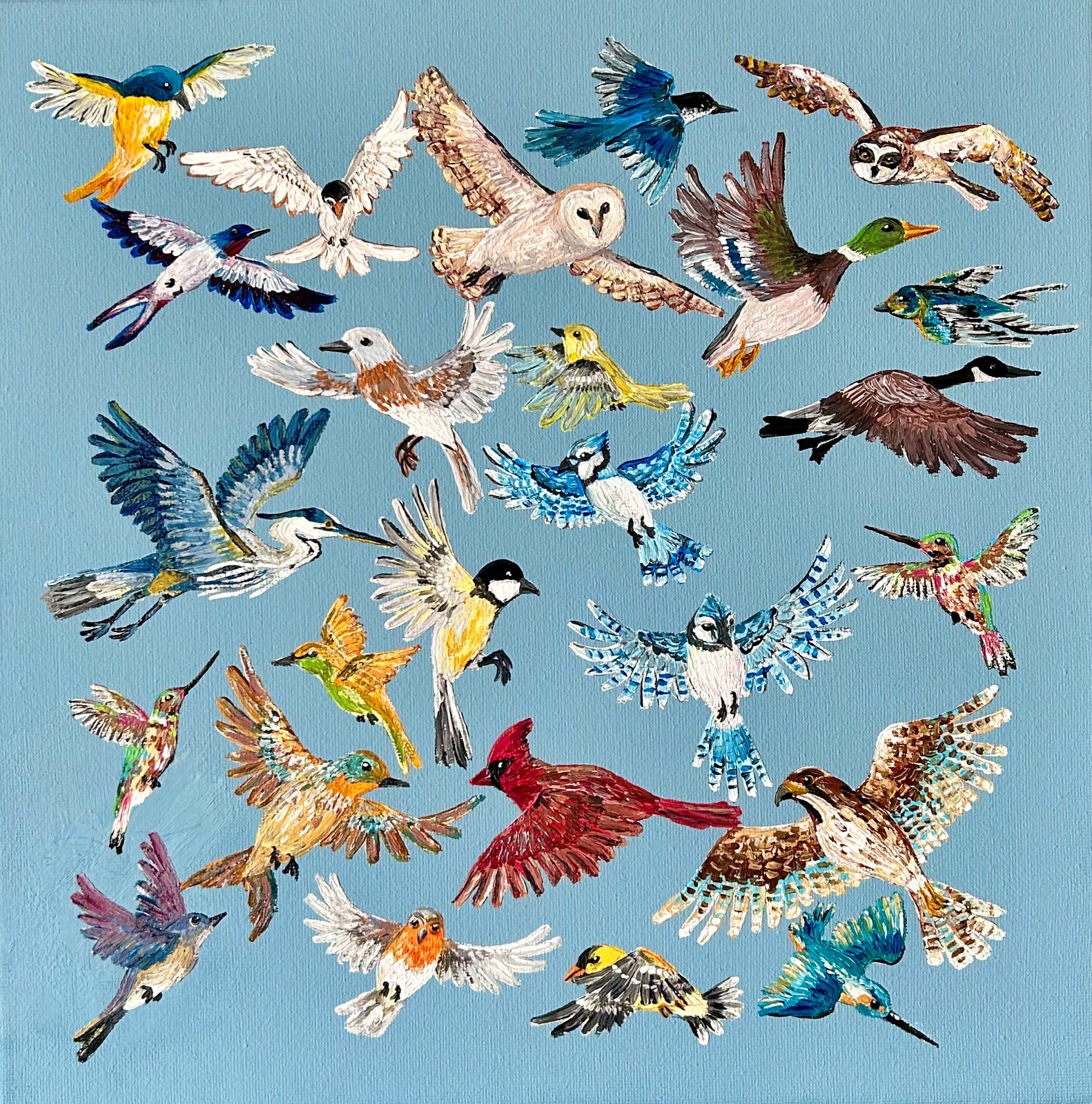 Original Acrylic Painting by AnneliseK, 12x12in, Birds Flying Owl Hawk Heron Jay