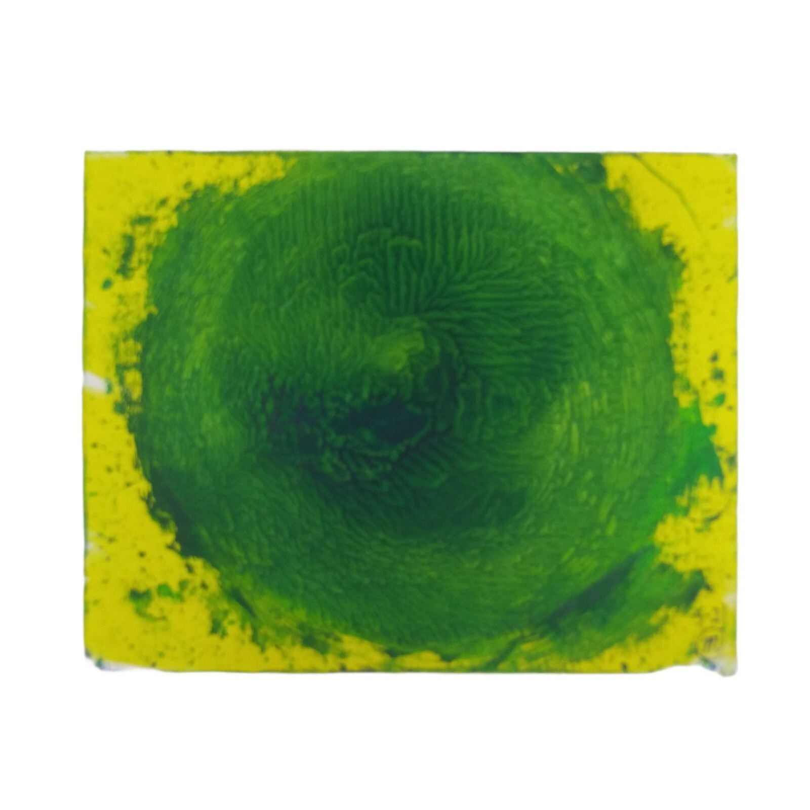 Original Water Leaf Abstract Painting 8×10 Canvas Green Blue Yellow Handmade Art