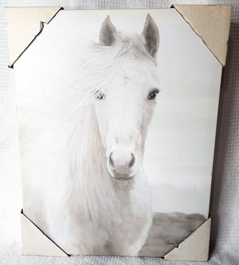 Ramona Murdock White Horse Art On Canvas Size 11X14