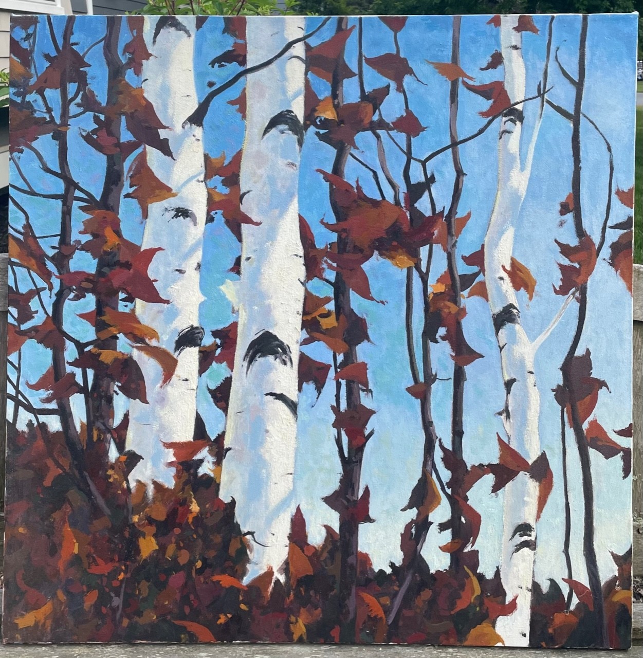 Original JOHN LOUGHLIN White BIRCH TREES Autumn Forest Landscape Oil PAINTING