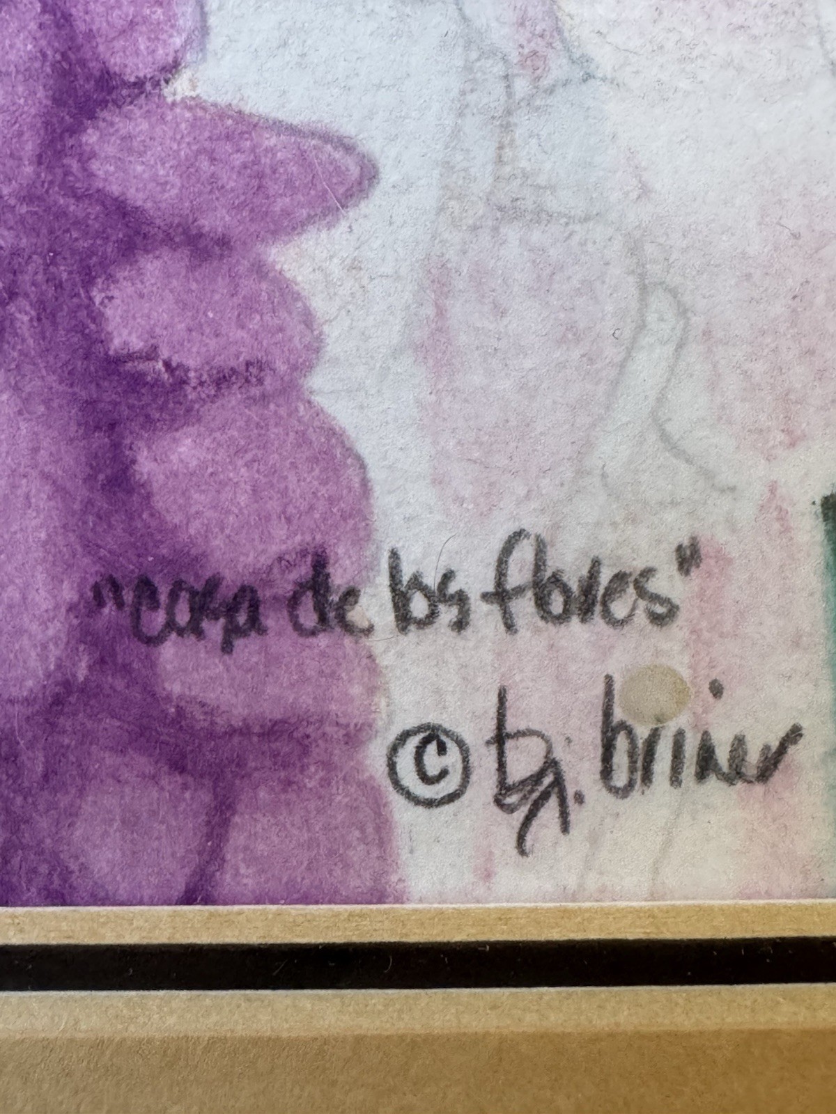 BJ Briner – Taos Artist – Casa de Los Flores – Framed Oil Pencil Paper Painting