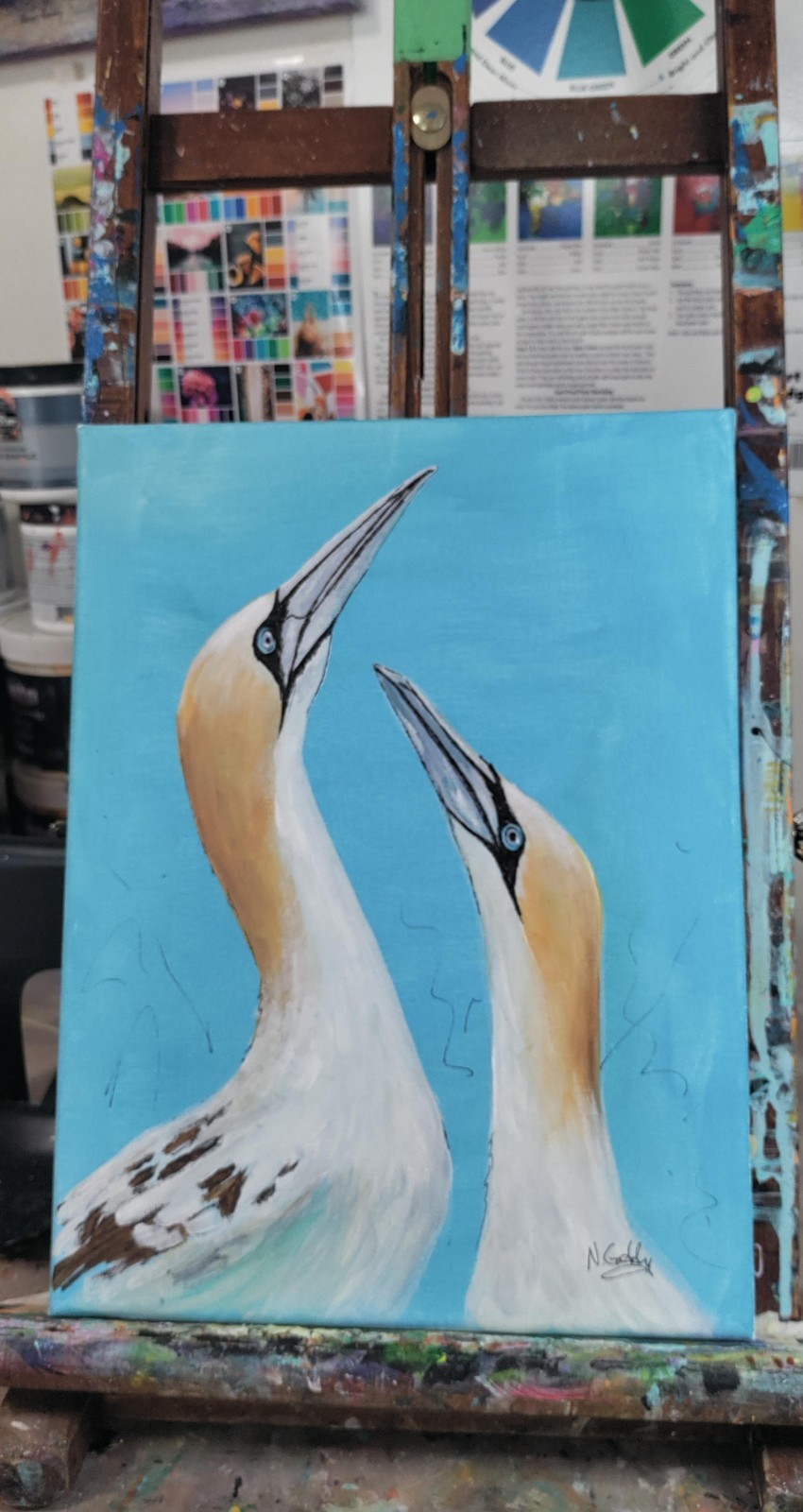 Original 9 x 12 Expressive Northern Gannets Birds Acrylic on Canvas Painting