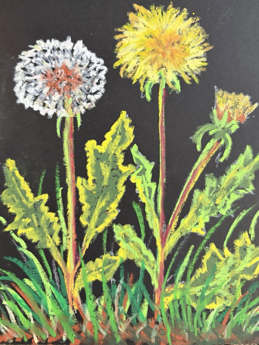 Dandelions Original Oil Pastel Drawing 5.5inx8in