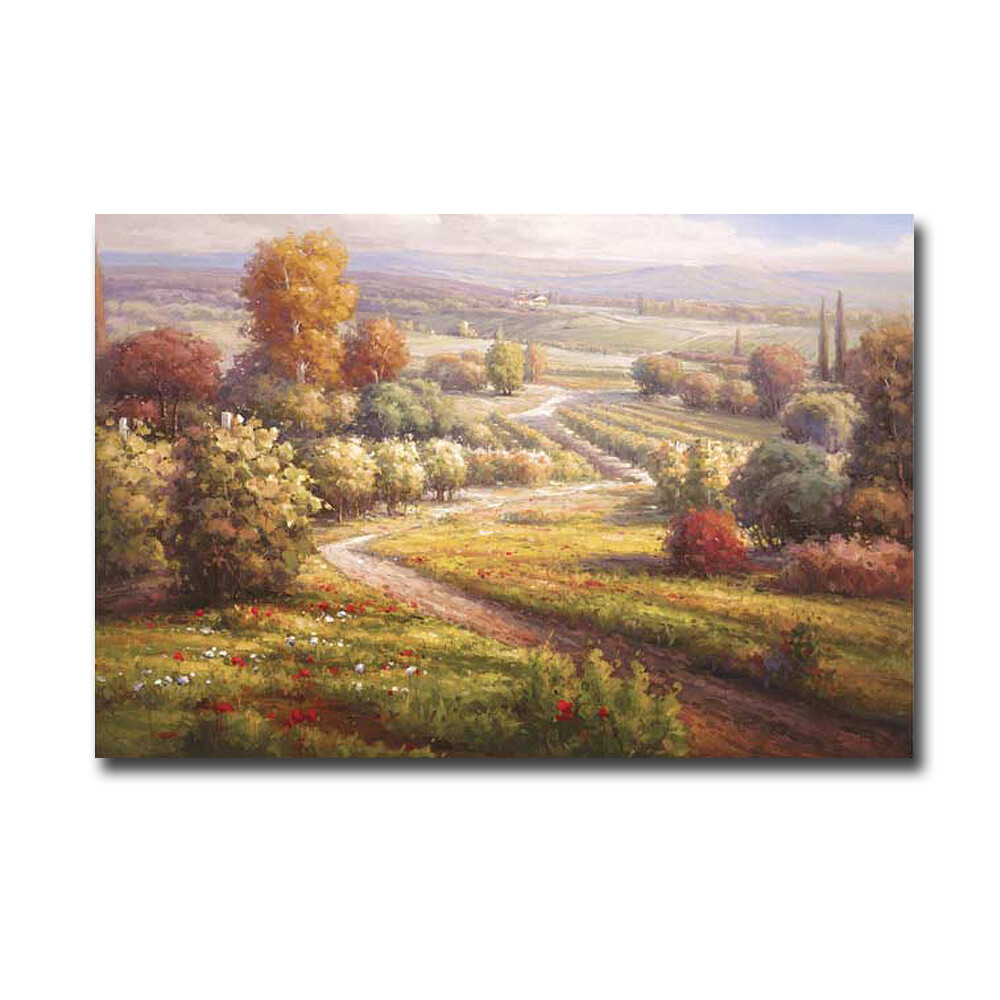 Vineyard View II by Lombardi Gallery-Wrapped Canvas Giclee Art (24 in x 36 in)