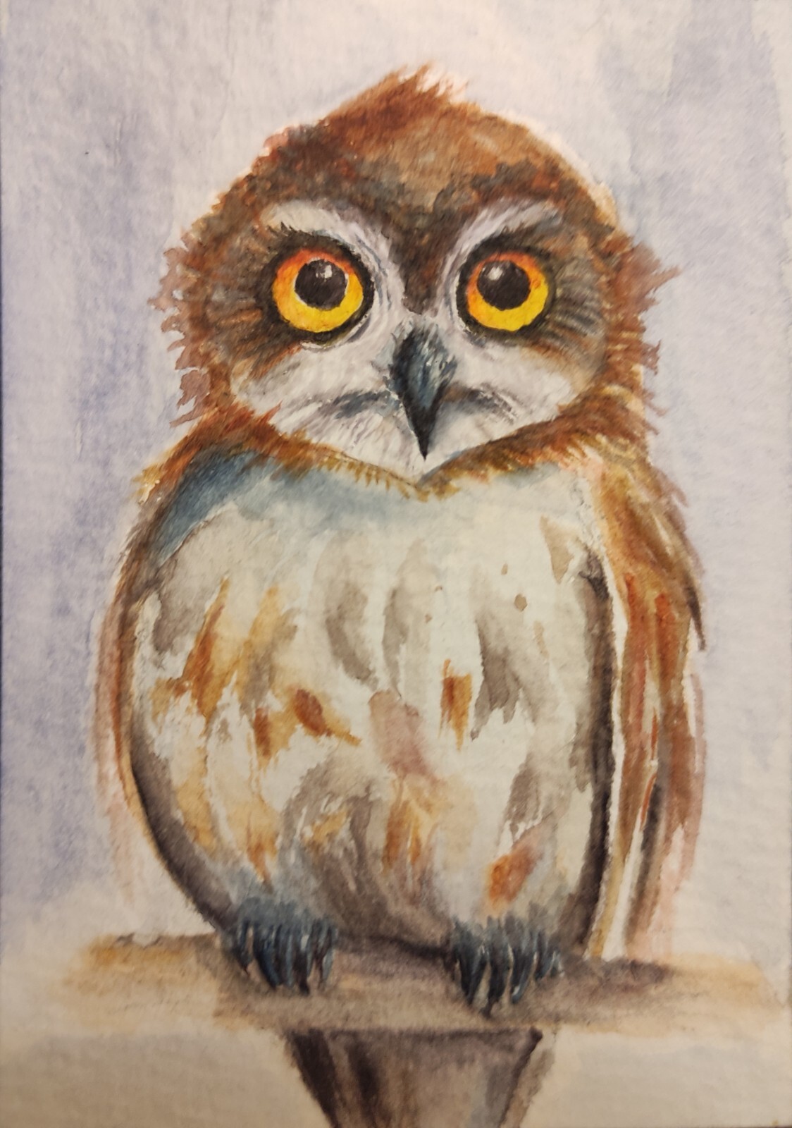 ACEO Original Watercolor Painting The Owlet Portrait Bird