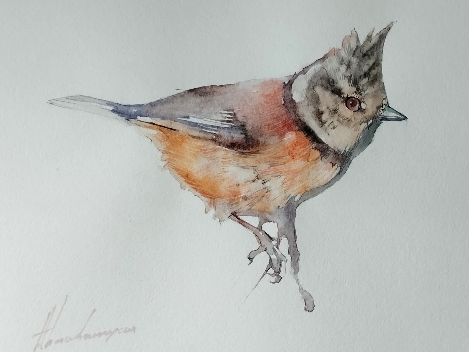 Tufted titmous, Birds, Watercolor artwork, Handmade, Original painting on paper